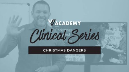 Christmas Dangers Vet Course