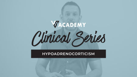 Hypoadrenocorticism (Addison's Disease) Vet Success Course