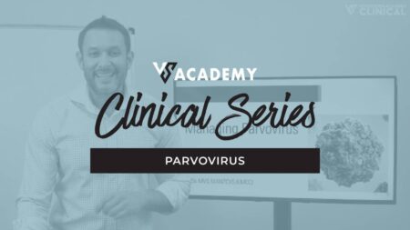 Parvovirus Vet Training Course
