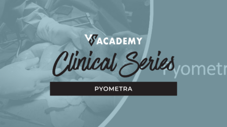 Pyometra Online Training Course