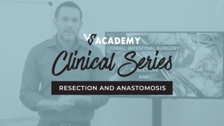 Resection & Anastomosis Veterinary Online Training Course
